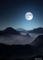 翠竹楼主原创诗：七绝—诗习