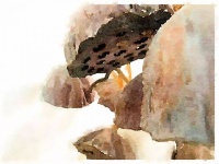 佛说：转眼一年，瞬间一生！（深度好文）