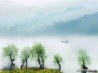 曾经彷徨，像那只落荒的鸭