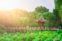 中国亭子之美：四大名亭