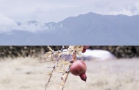 高情商发圈被秒赞的句子