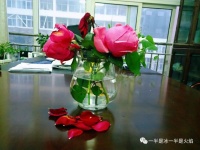 散文诗：我已经穿过光阴的蒙蔽