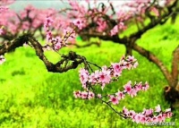 更漏处，声声恨怨同谁诉