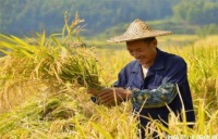 俗语：“天干莫望云头雨，背时莫望好亲戚”，解读古人的经典俗语