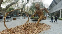 浙江杭州：落叶变身艺术作品