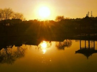 万点梅花随意绽，一杯淡酒看凡尘（诗六首）