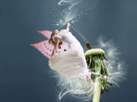 世上本无事，庸人自扰之