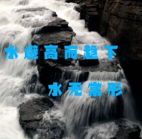 把握行情的规律，因势而变，不死板