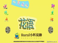 心灵感悟——花语