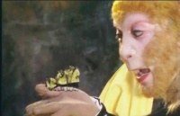 难怪孙悟空七十二变，总是变不了尾巴，菩提在五百年前就给了答案