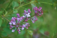 相遇请善待，相别勿伤害！（深度好文）