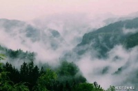 【美文悦读】席慕蓉：雾里