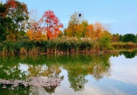 平凡的人，可以无过人之才，但不能不知道为什么而活