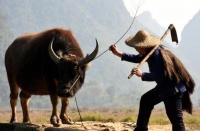 俗语“色字头上一把刀”，下半句说透了现实与人性，值得人去深思