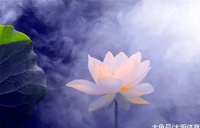 俗语：“万般皆是命，半点不由人”，啥意思？老祖宗的话发人深省