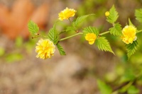 素媛案出狱后，半夜用手电筒观察抗议者：别高估人性，别低估生活