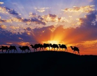 你是最好的/赵寅辰