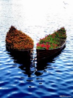 慈悲为怀，学会慈悲