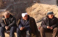 俗语：“树怕三摇、女怕三撩，鸡怕撵狗怕舔”，老祖宗为何这么说