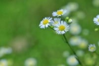 一生很短，让一切顺其自然