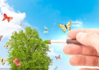 为爱步履不停，绽放家的美好