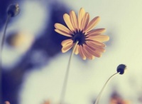 这三句话，陪我扛过2020年，与你共勉