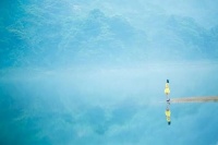 太闲，会毁掉一个正常的人（精辟）