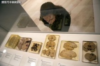 爱因斯坦死前说了2句话，护士没听清楚，结果大脑被切成240片