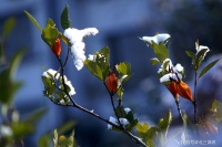 感谢相遇，感谢有你