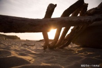 竹杖芒鞋轻胜马，谁怕？心之所向，素履以往，生如逆旅，一苇以航
