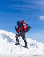 低头的走，飞鸟才会迷恋天空