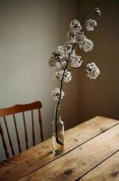 散文：内心极简