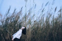 人生路上五句话