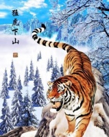 农村俗语：“虎到中堂，家败人亡”，家中有“虎”的可要注意了！