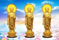 为什么历史上很多人到了晚年都皈依佛法呢？