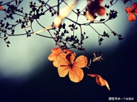 一屋两人，三餐四季，不畏将来，不悔过去，执子之手，与子偕老