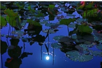 你的格局，决定结局