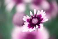 早读：让心归零，迎接美好