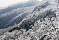 李昊：眼泪是最小的海（组诗）｜中原诗歌