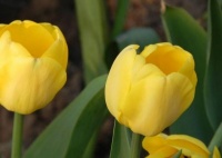 几日出生的人，口才出众有魅力，男能早成功，女能找个好对象