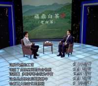 大国匠心栏目组讲述：品味时光的白茶匠人