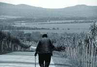 老人膝下无儿女，老了却有一堆人来相认，得知真相众人感动不已