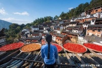 2020年末，大总结