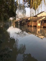 读鲁杂感       倘有取舍，即非全人