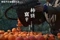 岁月不语，唯记四时食事