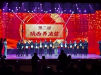 宝鸡书法家包揽第二届陕西书法奖金奖