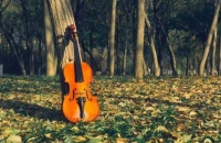 真正过得好的中年人，往往很“刻薄”