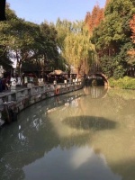 读鲁杂感       读不懂就不读啊