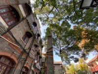 什么是好的城市？在形形色色的答案中，不少人提到了这个词