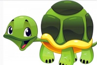 “千年的王八万年龟，百年的兔子无人追”许多人不知道其深层含义